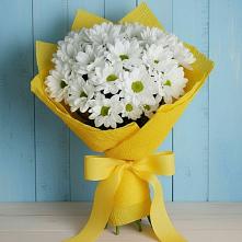 Букет цветов из:  Хризантемы в Посёлок государственного племенного завода «Константиново»