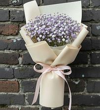 Букет цветов из:  Гипсофила в Посёлок государственного племенного завода «Константиново»