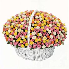 Премиум букет из: Розы в Посёлок государственного племенного завода «Константиново»