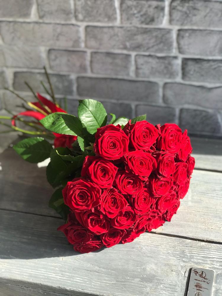 Букет Красные розы Фридом в Посёлок государственного племенного завода «Константиново»