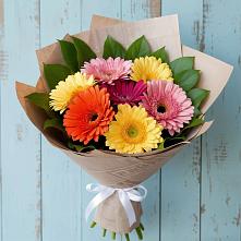 Букет цветов из:  Герберы #REPLACE_PRED# Посёлок государственного племенного завода «Константиново»