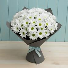 Букет цветов из:  Хризантемы в Посёлок государственного племенного завода «Константиново»