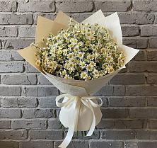 Букет цветов из:  Ромашки #REPLACE_PRED# Посёлок государственного племенного завода «Константиново»