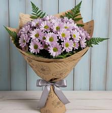 Букет цветов из:  Хризантемы в Посёлок государственного племенного завода «Константиново»