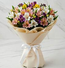 Букет цветов из:  Альстромерии в Посёлок государственного племенного завода «Константиново»