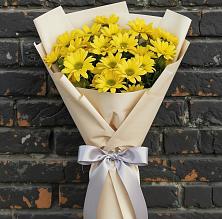 Букет цветов из:  Хризантемы в Посёлок государственного племенного завода «Константиново»