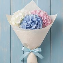 Букет цветов из:  Гортензия в Посёлок государственного племенного завода «Константиново»