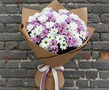 Букет цветов из:  Хризантемы #REPLACE_PRED# Посёлок государственного племенного завода «Константиново»