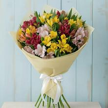 Букет цветов из:  Альстромерии в Посёлок государственного племенного завода «Константиново»