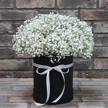 Цветочная композиция из Гипсофила в шляпной коробке в Посёлок государственного племенного завода «Константиново»