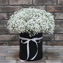 Цветочная композиция из Гипсофила в шляпной коробке в Посёлок государственного племенного завода «Константиново»