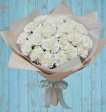 Букет цветов из:  Гвоздики в Посёлок государственного племенного завода «Константиново»