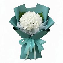 Букет цветов из:  Гортензия в Посёлок государственного племенного завода «Константиново»
